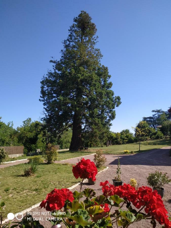 Le Manoir Sequoia Airvault Exterior foto